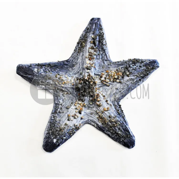 Dettaglio stella marina cm 20