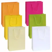 Mini shoppers in carta plastificata Colori assortiti (12pz)