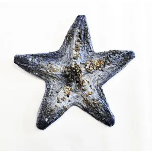 Dettaglio stella marina cm 20