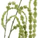 Ramo artificiale Amaranthus Caudatus (cm 150)