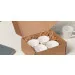 https://www.scotton.it/it-it/ispirazioni/food-delivery-box/home