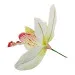 Decorazione Orchidea in stoffa Bianca grande con stelo